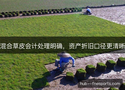 混合草皮会计处理明确,资产折旧口径更清晰 混合草皮会计处理明确,资产折旧口径更清晰